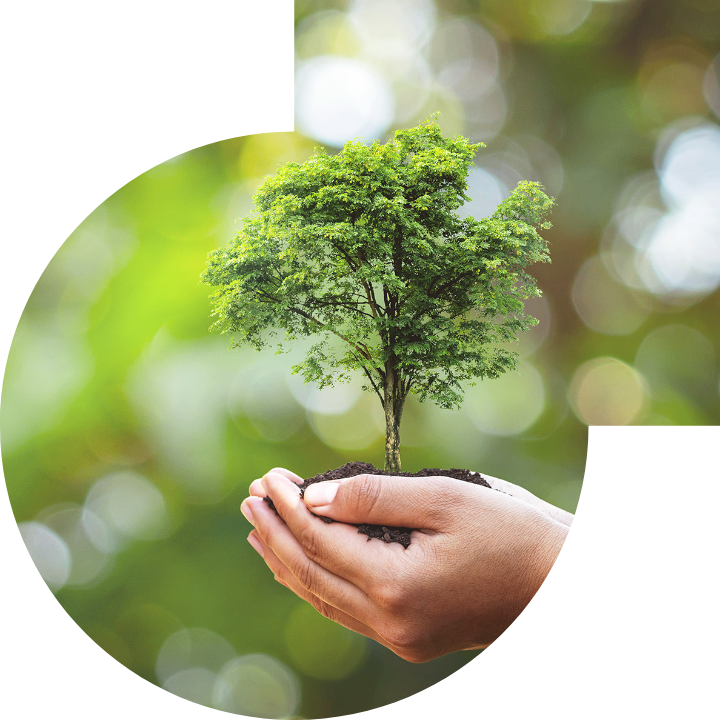 关怀人类、文化、环境与社会